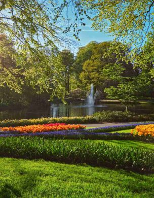 keukenhof-flower-garden-lisse-the-netherlands-2024-10-18-03-49-47-utc_11zon