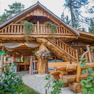 Canopy Haven