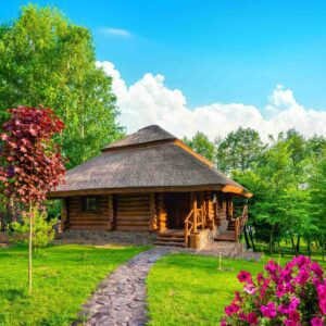 Canopy Haven