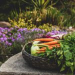 Discover five powerful reasons to choose seasonal organic produce