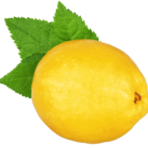Butternut Squash