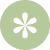 Flower Flower