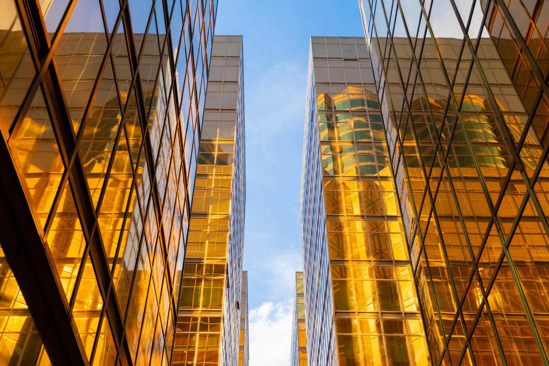 Before: Facing repeated regulatory warnings and a looming audit failure due to outdated AML practices.
After: We implemented a full AML compliance framework, trained 80+ staff, and supported the bank through a successful third-party audit.