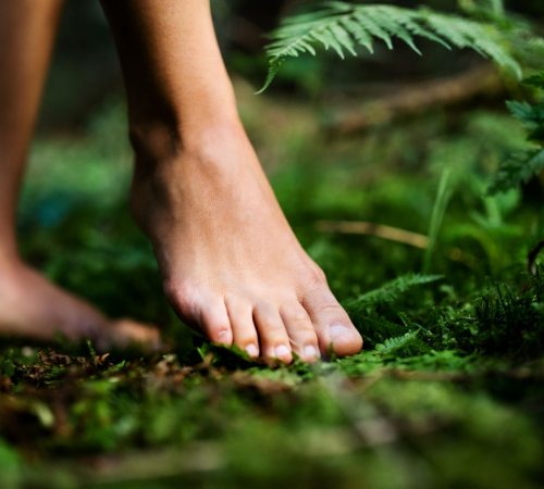 bare-feet-of-woman-standing-barefoot-outdoors-in-n-2024-10-18-09-27-32-utc