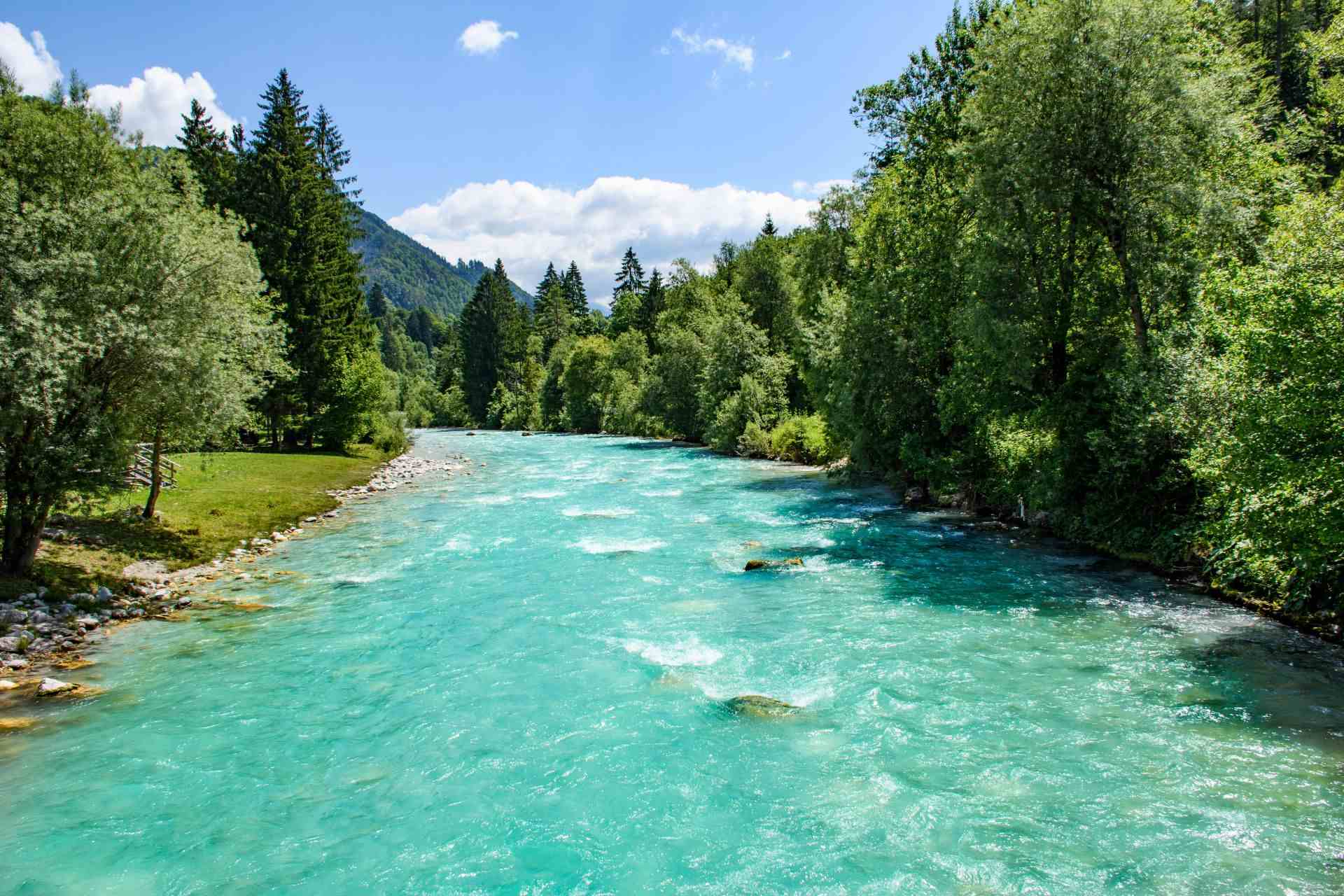 amazing-turquoise-river-surrounded-by-green-trees-2023-11-27-05-27-55-utc_11zon