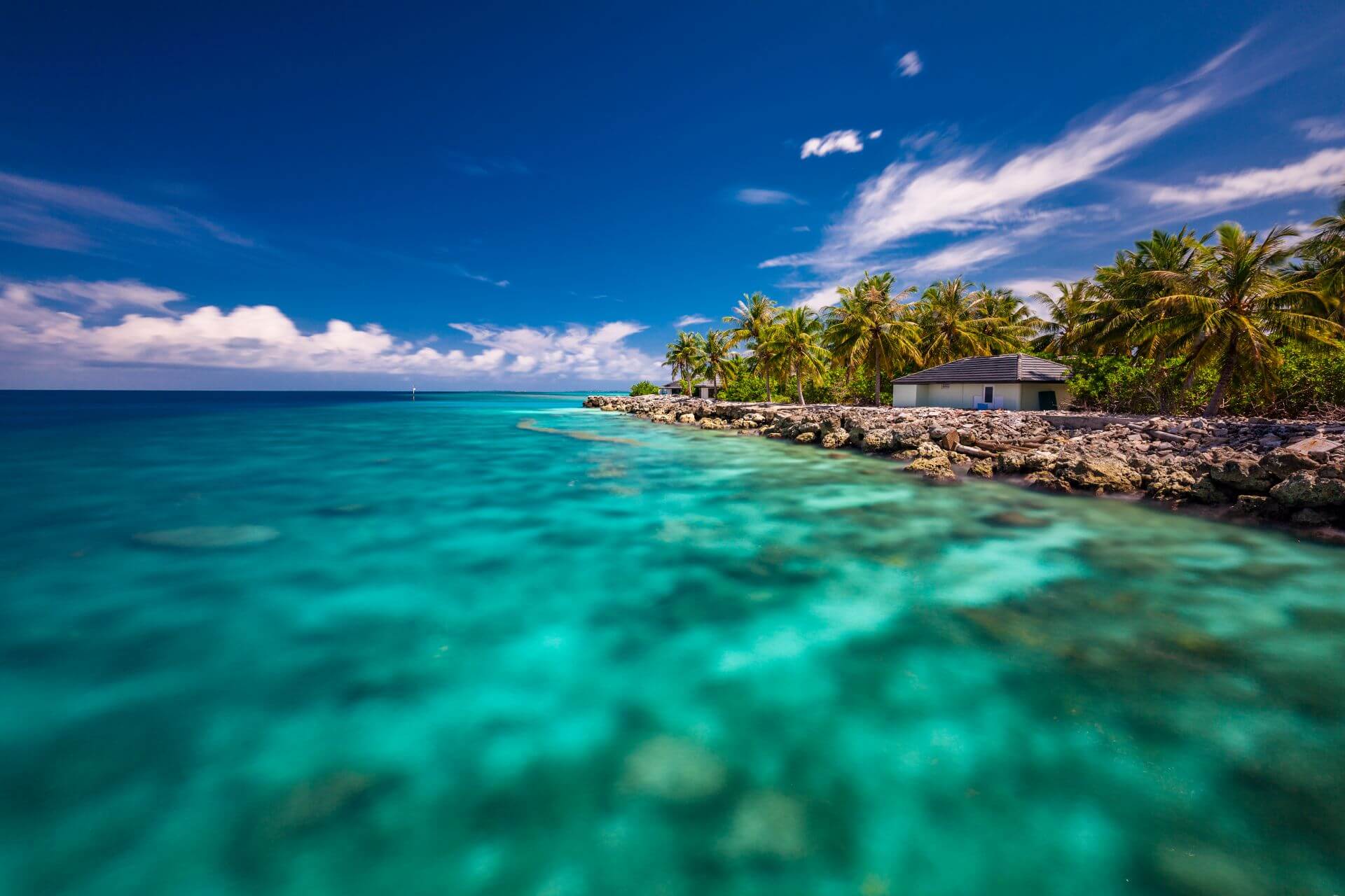 tropical-beach-in-maldives-with-palm-trees-and-vib-2024-11-29-23-49-03-utc